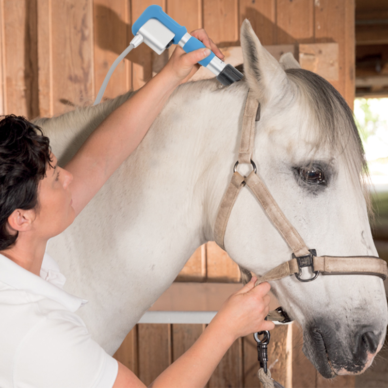 SW13H Shockwave Therapy Machine | Pneumatic Pain Relief & Veterinary Physiotherapy Device