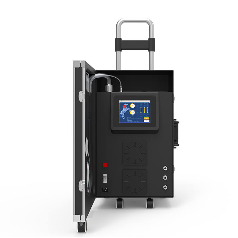 PMST VET Magneto & Infrared Therapy Machine | Equine Pain Relief & Rehabilitation Device