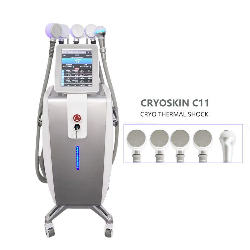 Vertical C11 Cryoskin Device Cryotherapy Cryo Tshock Thermal Shock Equipment