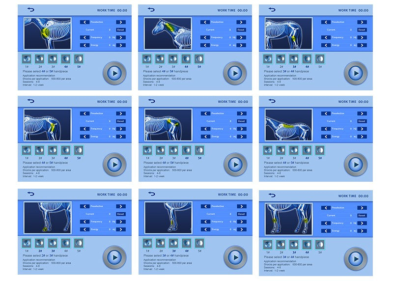 SW13H Shockwave Therapy Machine | Pneumatic Pain Relief & Veterinary Physiotherapy Device
