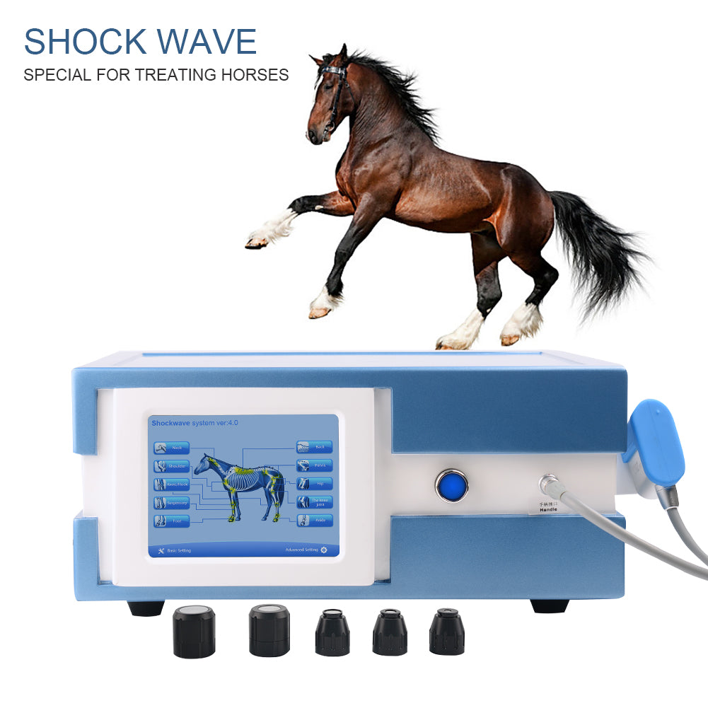 SW13H Shockwave Therapy Machine | Pneumatic Pain Relief & Veterinary Physiotherapy Device